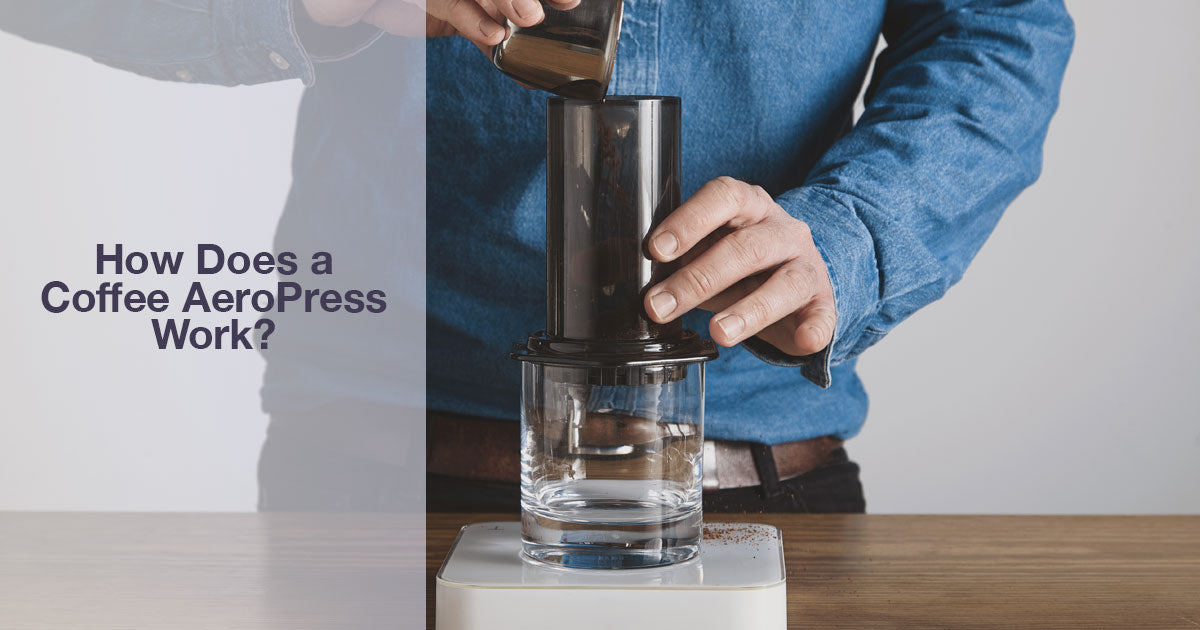 How Does a Coffee AeroPress Work? Shadybeanscoffee