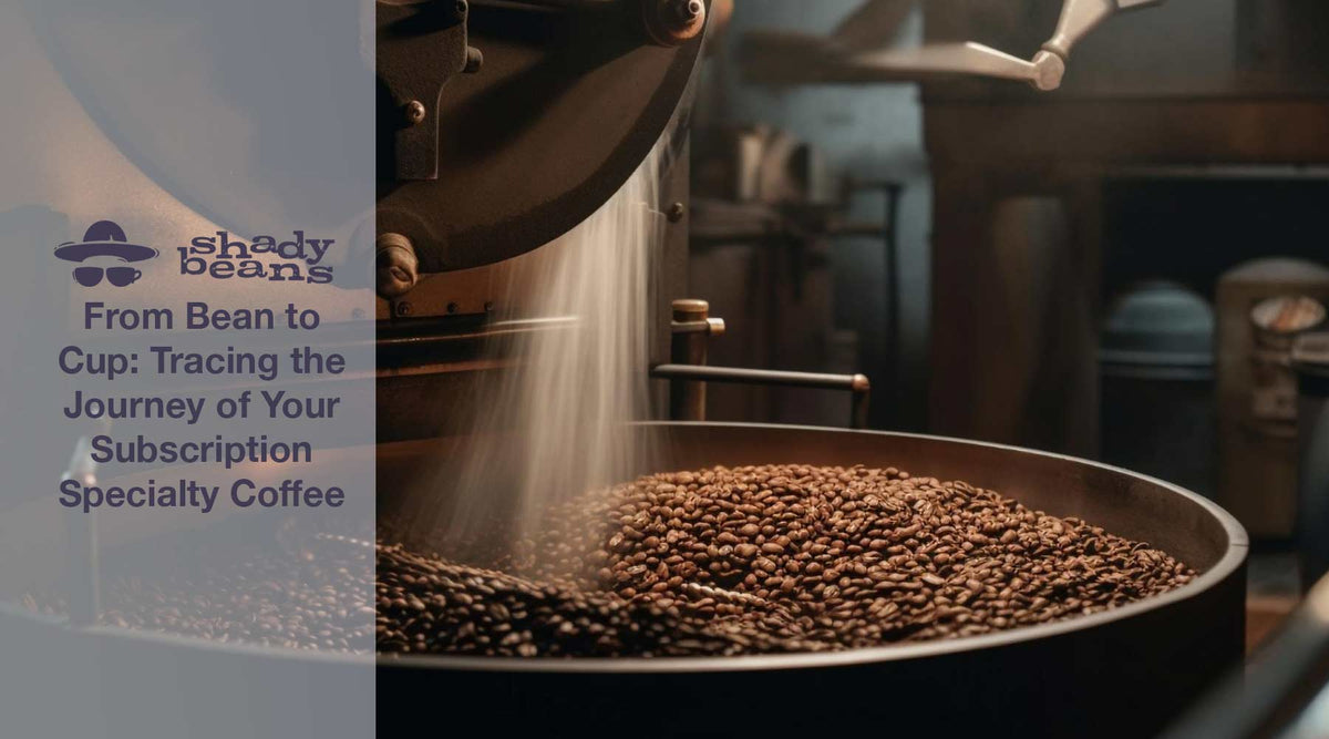 From Bean to Cup: Continuing the Journey of Your Gourmet Coffee ...