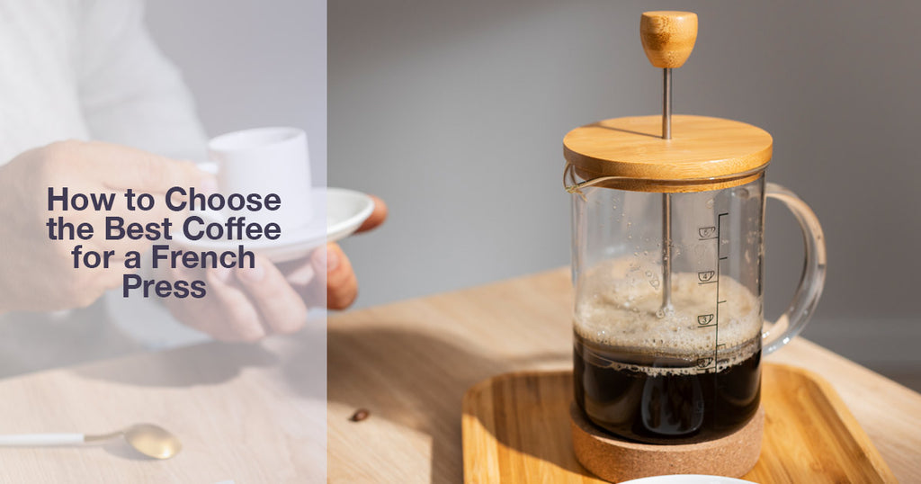 How to Choose the Best Coffee for a French Press